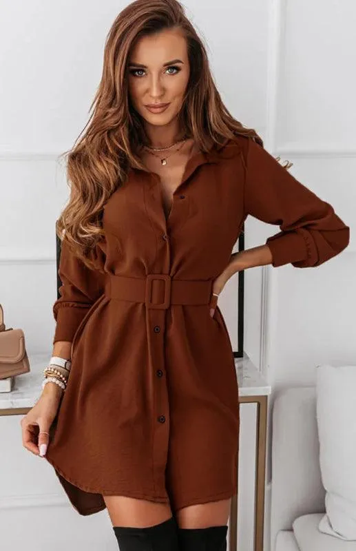 Chic Long Sleeve Polyester Shirt Dress with Lapel Collar