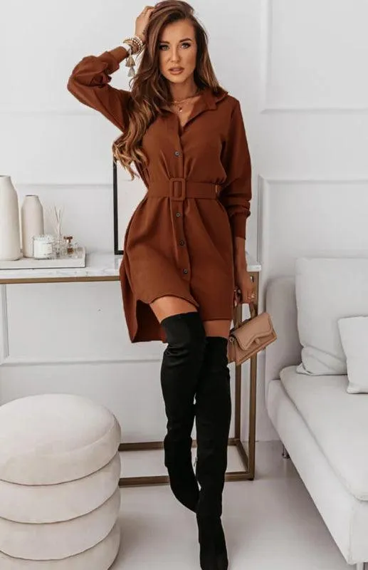 Chic Long Sleeve Polyester Shirt Dress with Lapel Collar