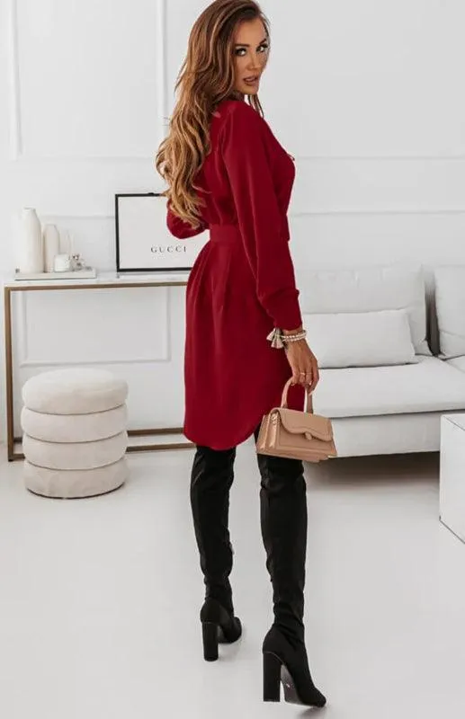 Chic Long Sleeve Polyester Shirt Dress with Lapel Collar