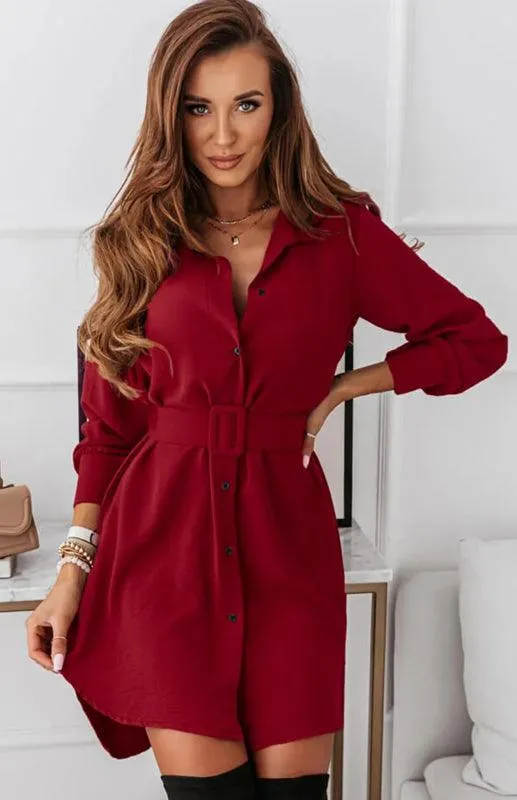 Chic Long Sleeve Polyester Shirt Dress with Lapel Collar