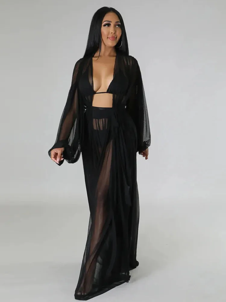Elegant Sheer Blouse & Pants Set