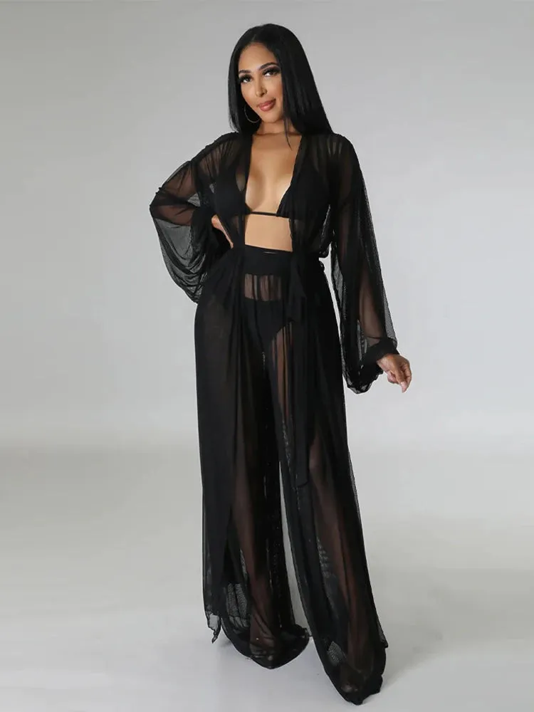 Elegant Sheer Blouse & Pants Set