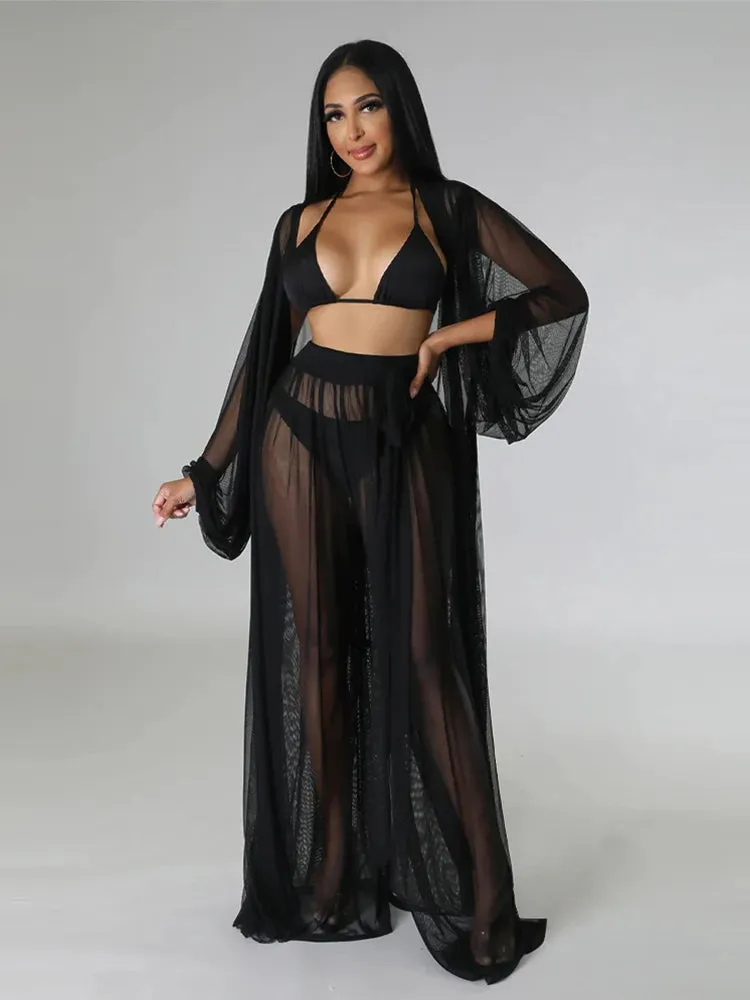 Elegant Sheer Blouse & Pants Set