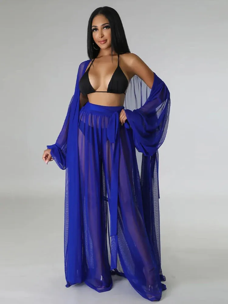 Elegant Sheer Blouse & Pants Set