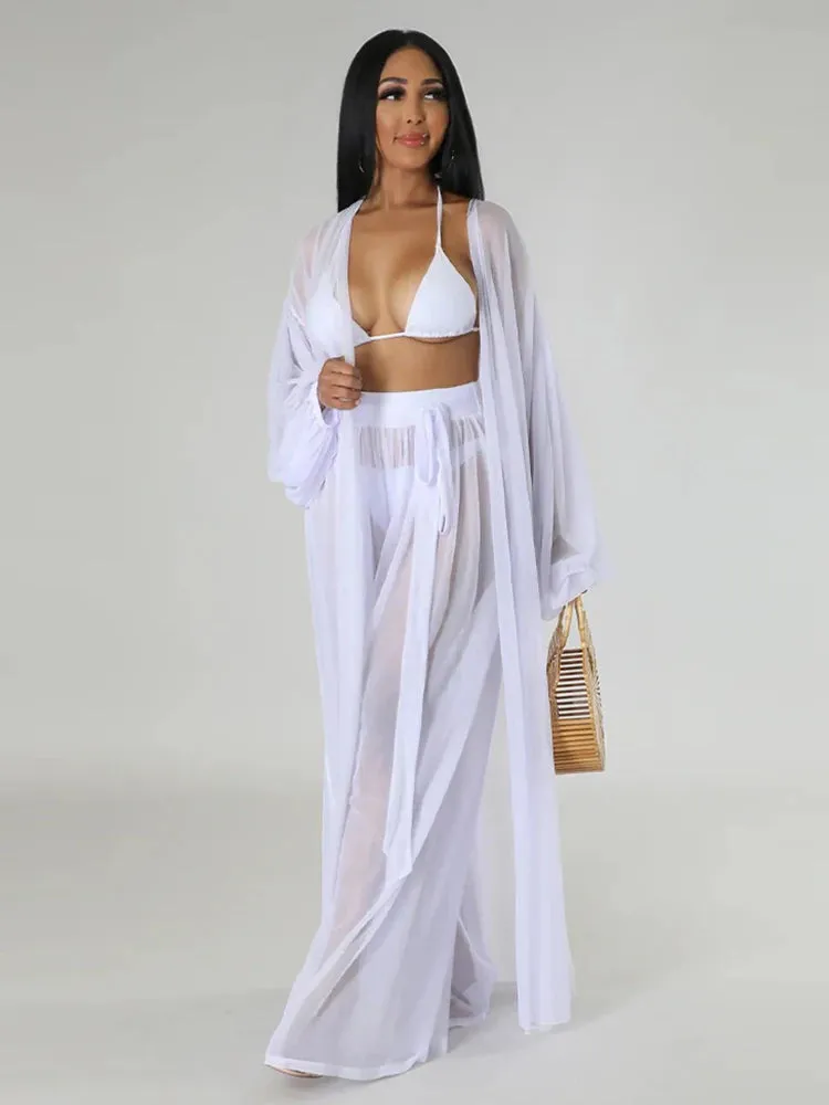 Elegant Sheer Blouse & Pants Set