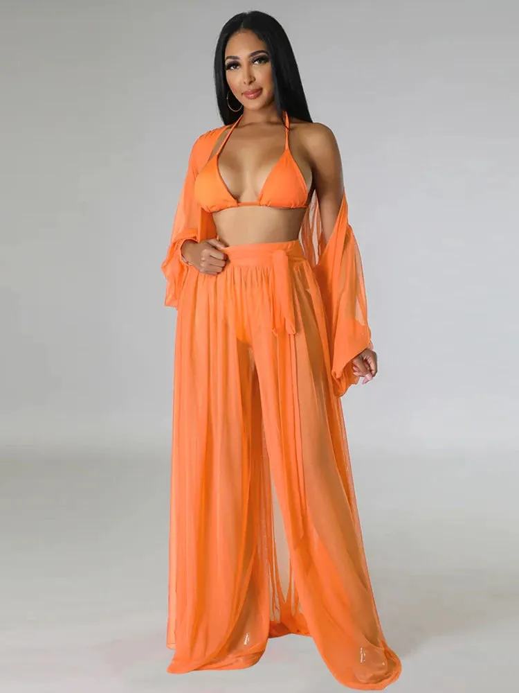 Elegant Sheer Blouse & Pants Set